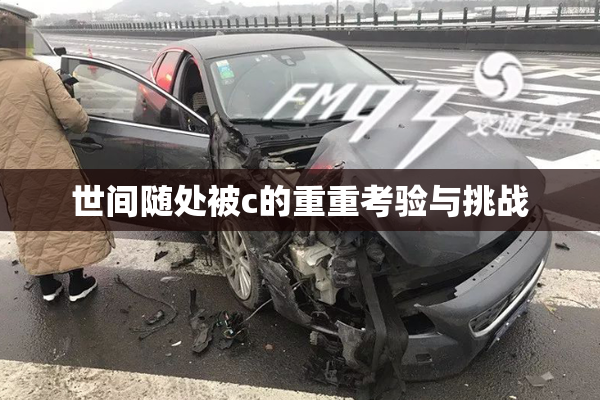 世间随处被c的重重考验与挑战