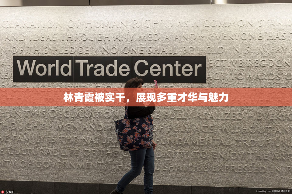 林青霞被实干，展现多重才华与魅力