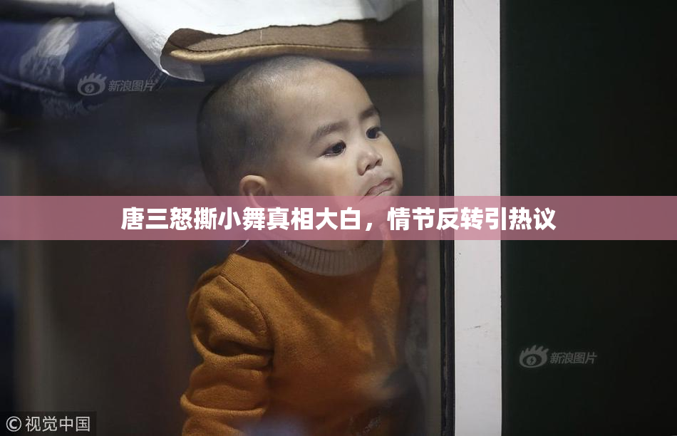 唐三怒撕小舞真相大白，情节反转引热议