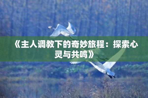 《主人调教下的奇妙旅程：探索心灵与共鸣》
