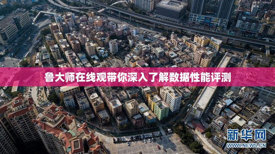 鲁大师在线观带你深入了解数据性能评测