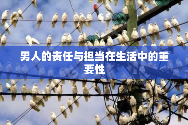 男人的责任与担当在生活中的重要性