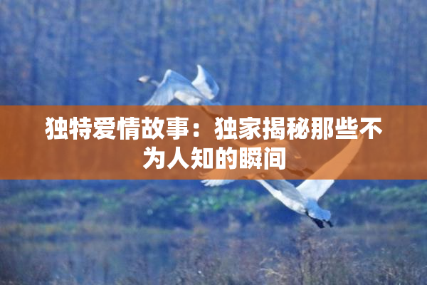 独特爱情故事：独家揭秘那些不为人知的瞬间