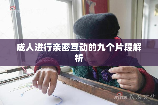 成人进行亲密互动的九个片段解析