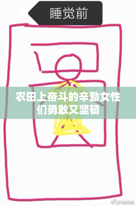 农田上奋斗的辛勤女性们勇敢又坚韧