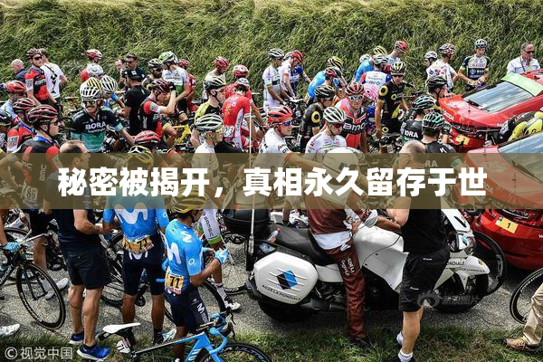 秘密被揭开，真相永久留存于世