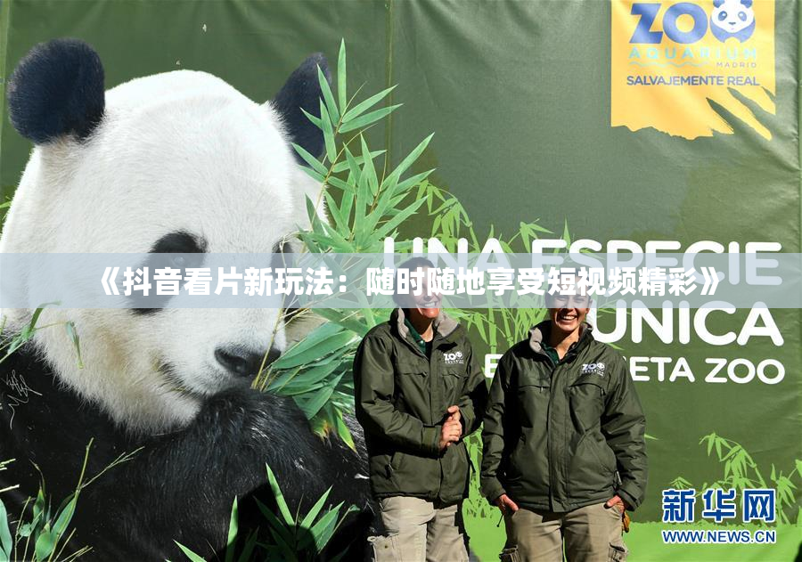 《抖音看片新玩法：随时随地享受短视频精彩》