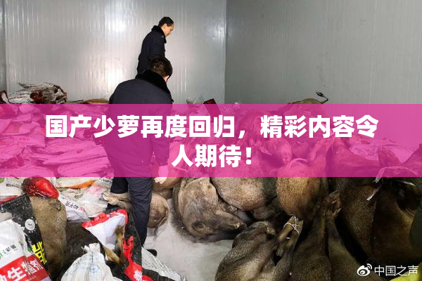 国产少萝再度回归，精彩内容令人期待！