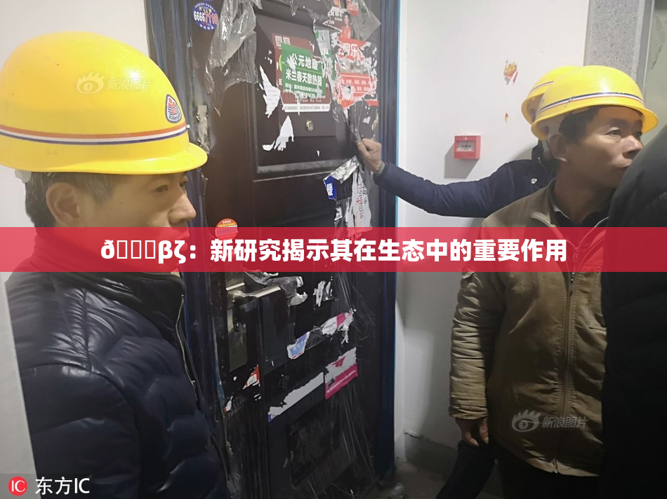 👙βζ：新研究揭示其在生态中的重要作用