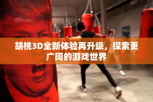 胡桃3D全新体验再升级，探索更广阔的游戏世界