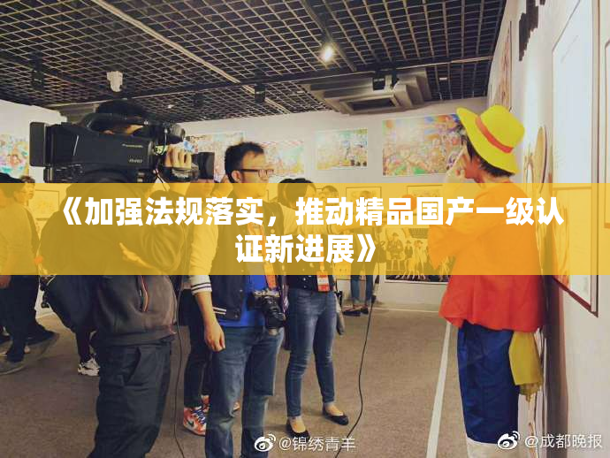 《加强法规落实，推动精品国产一级认证新进展》