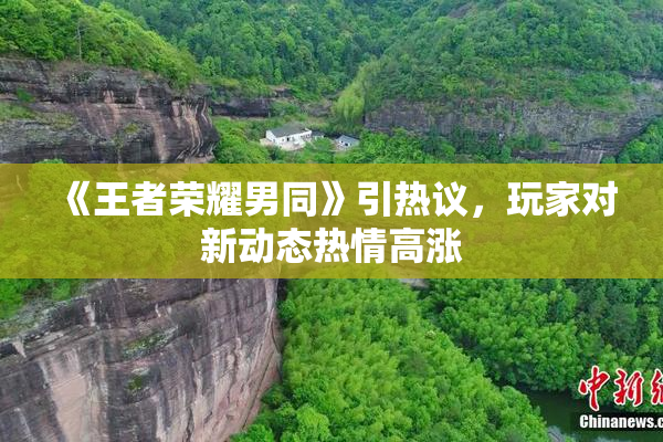 《王者荣耀男同》引热议，玩家对新动态热情高涨