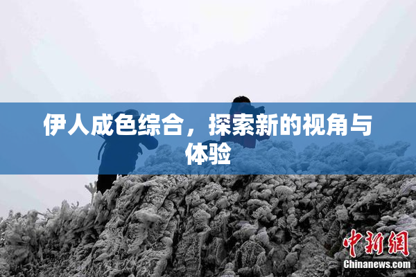 伊人成色综合，探索新的视角与体验
