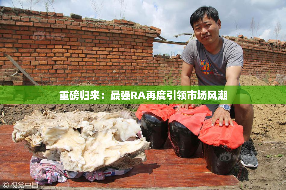 重磅归来：最强RA再度引领市场风潮