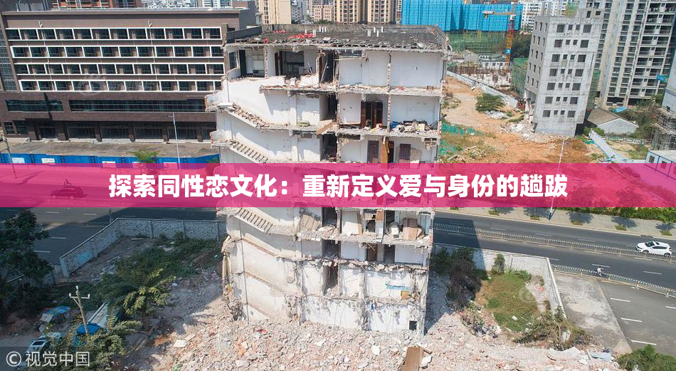 探索同性恋文化：重新定义爱与身份的趟跋