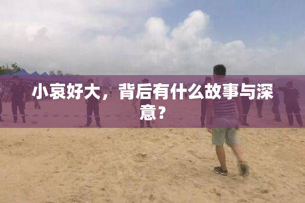 小哀好大，背后有什么故事与深意？