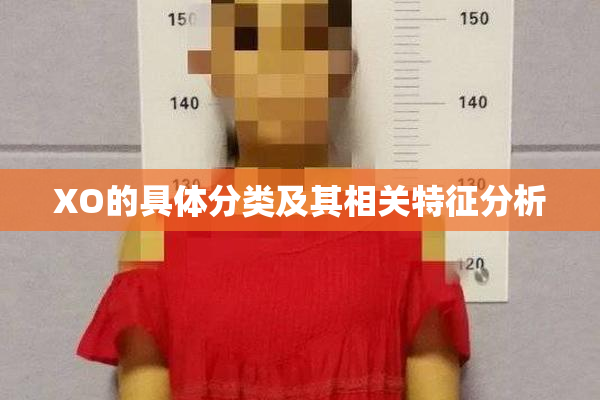 XO的具体分类及其相关特征分析