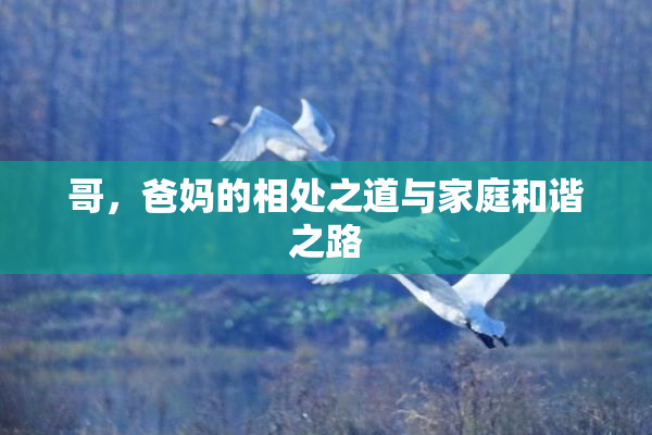 哥，爸妈的相处之道与家庭和谐之路