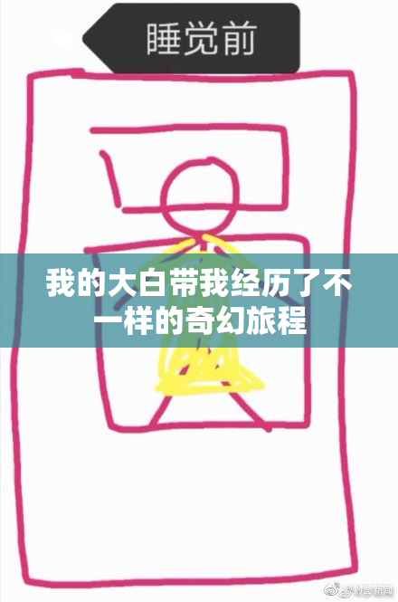 我的大白带我经历了不一样的奇幻旅程