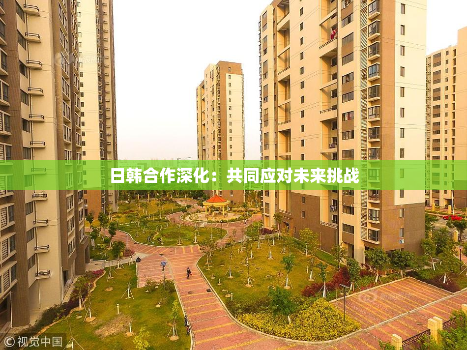 日韩合作深化：共同应对未来挑战