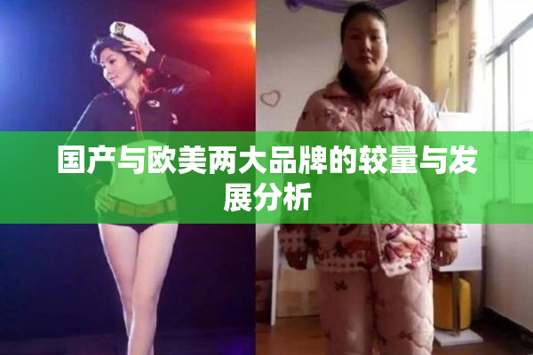 国产与欧美两大品牌的较量与发展分析