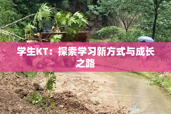 学生KT：探索学习新方式与成长之路