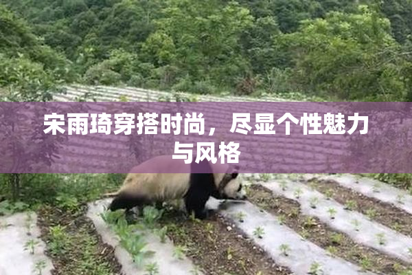 宋雨琦穿搭时尚，尽显个性魅力与风格
