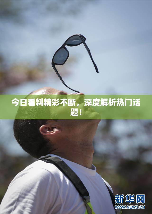 今日看料精彩不断，深度解析热门话题！