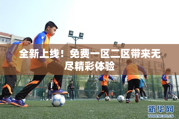 全新上线！免费一区二区带来无尽精彩体验