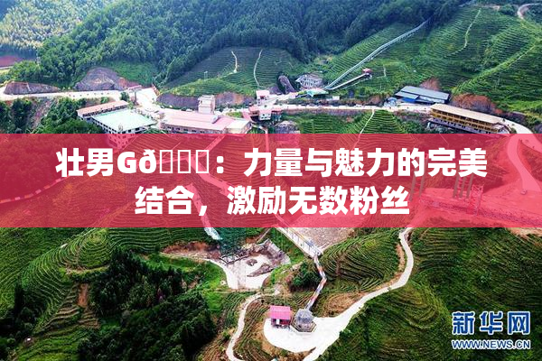 壮男G🈚：力量与魅力的完美结合，激励无数粉丝