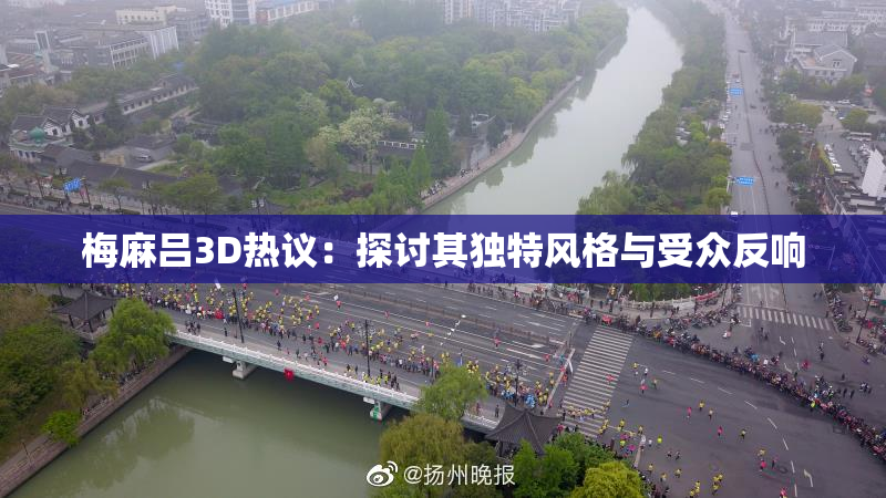 梅麻吕3D热议：探讨其独特风格与受众反响