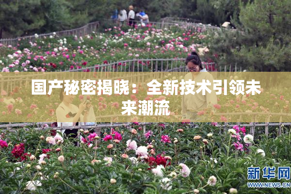 国产秘密揭晓：全新技术引领未来潮流