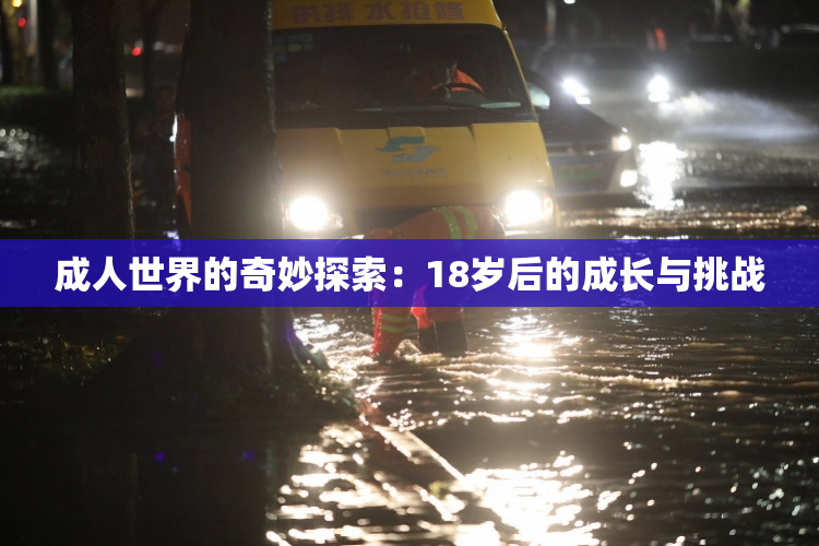 成人世界的奇妙探索：18岁后的成长与挑战