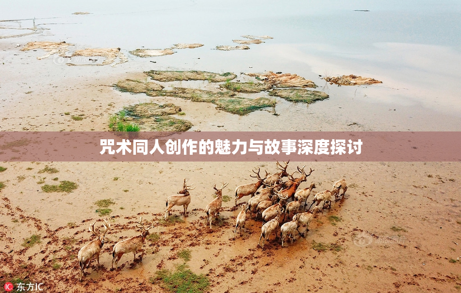 咒术同人创作的魅力与故事深度探讨