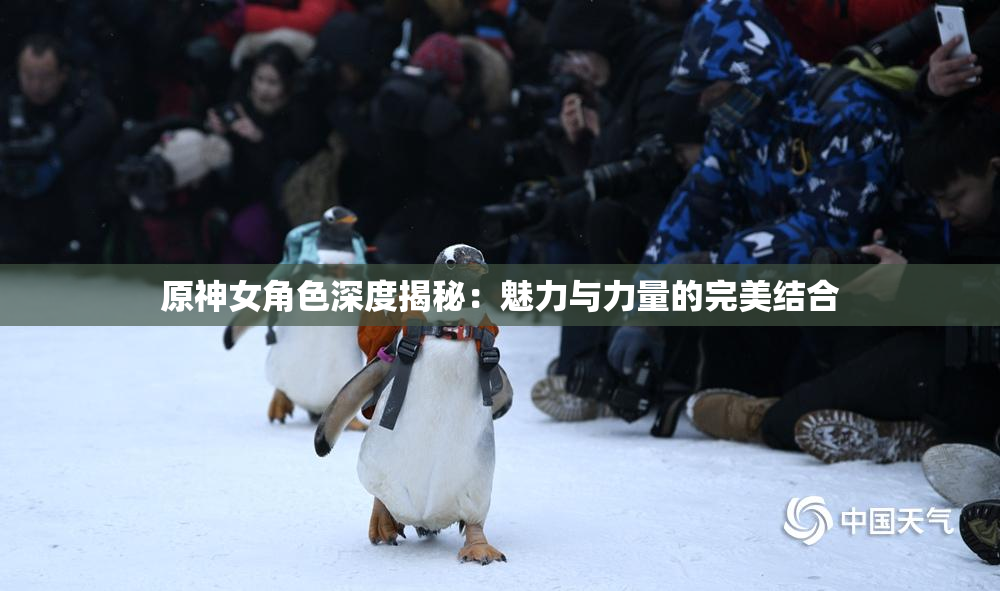 原神女角色深度揭秘：魅力与力量的完美结合