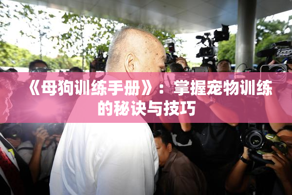 《母狗训练手册》：掌握宠物训练的秘诀与技巧