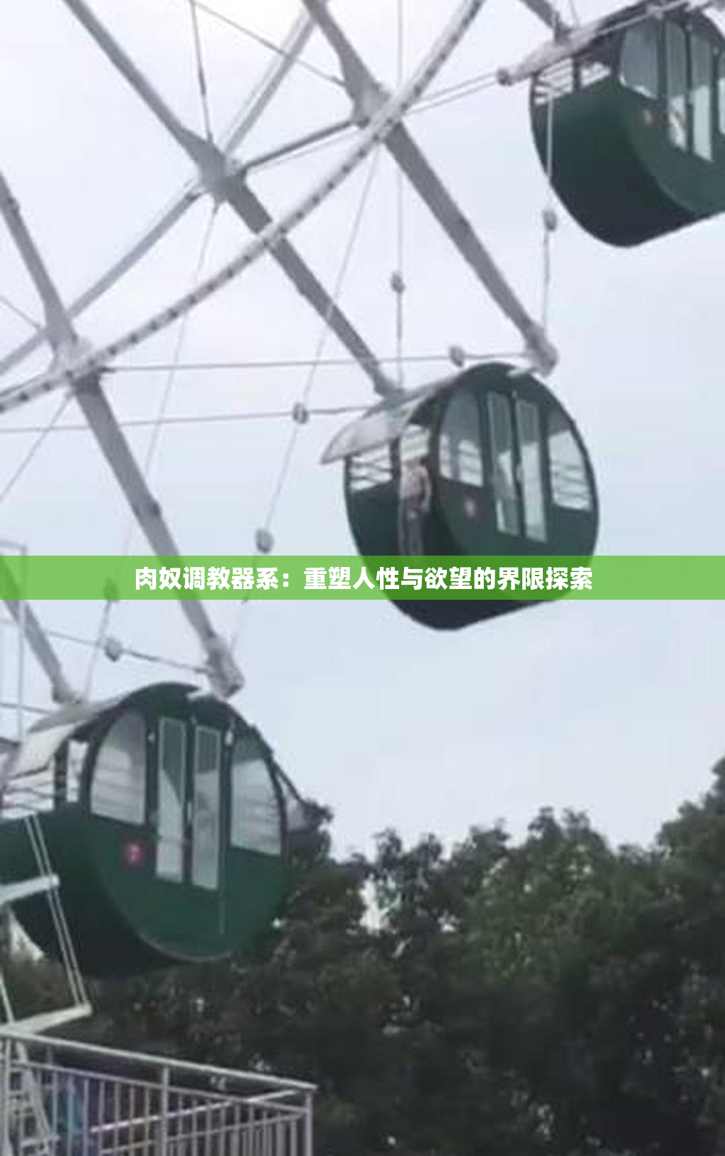 肉奴调教器系：重塑人性与欲望的界限探索