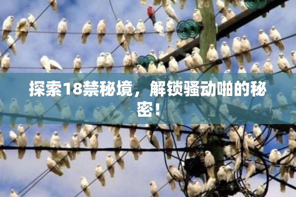 探索18禁秘境，解锁骚动啪的秘密！