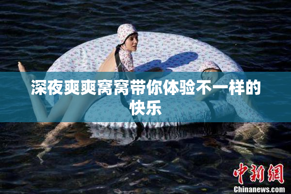 深夜爽爽窝窝带你体验不一样的快乐