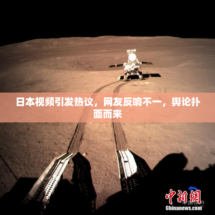 日本视频引发热议，网友反响不一，舆论扑面而来