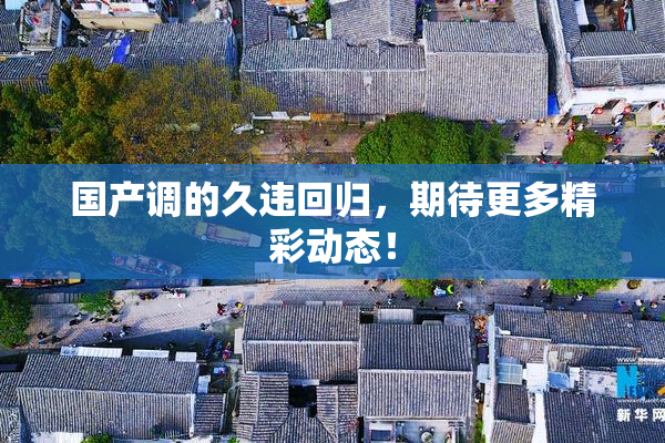 国产调的久违回归，期待更多精彩动态！