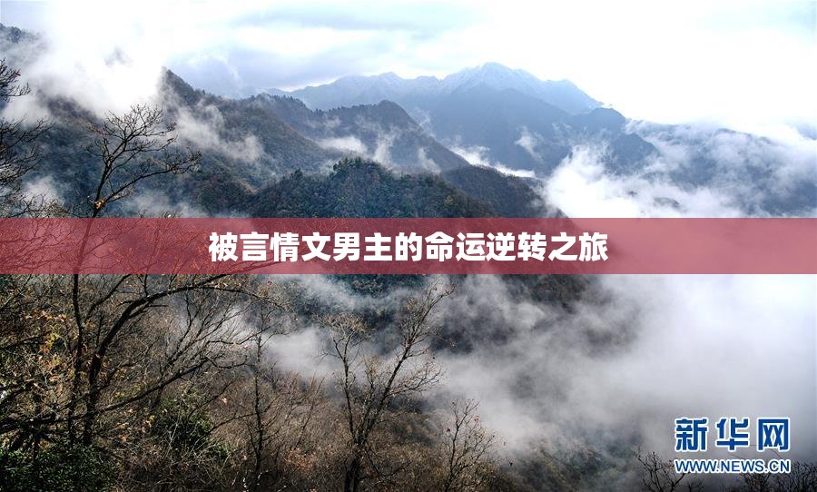 被言情文男主的命运逆转之旅