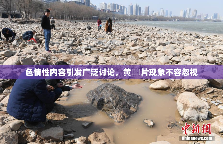 色情性内容引发广泛讨论，黄❌‌片现象不容忽视
