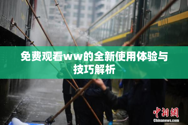 免费观看ww的全新使用体验与技巧解析