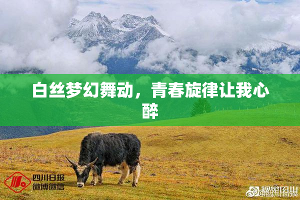 白丝梦幻舞动，青春旋律让我心醉