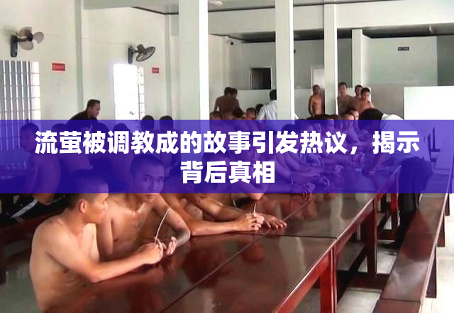 流萤被调教成的故事引发热议，揭示背后真相