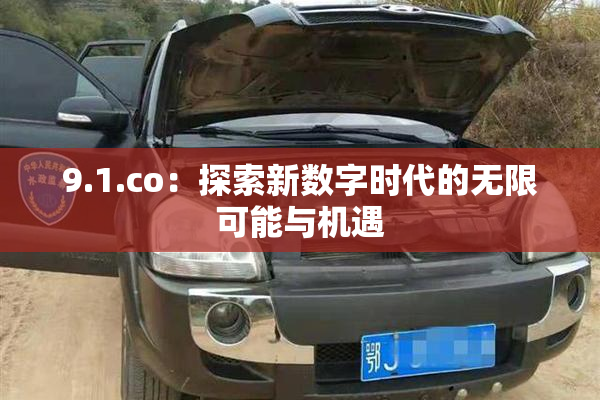 9.1.co：探索新数字时代的无限可能与机遇