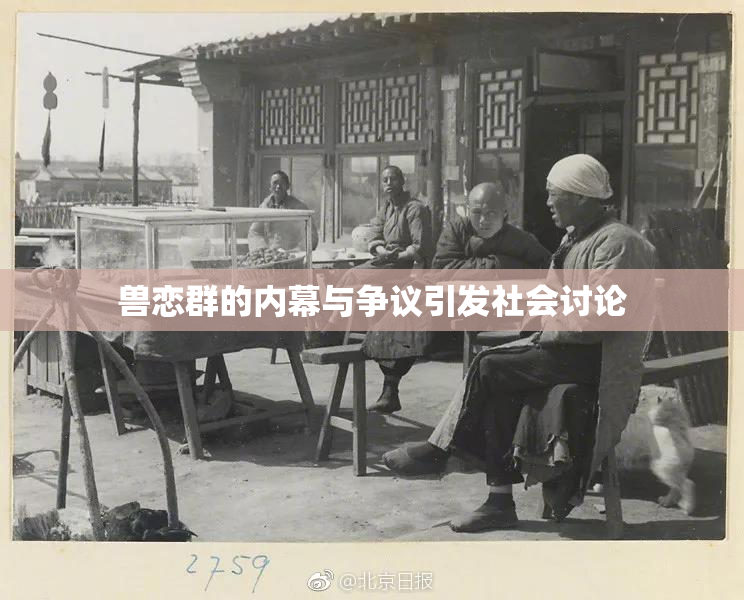 兽恋群的内幕与争议引发社会讨论