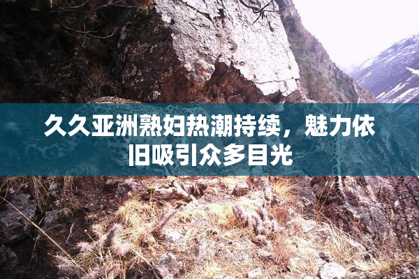 久久亚洲熟妇热潮持续，魅力依旧吸引众多目光