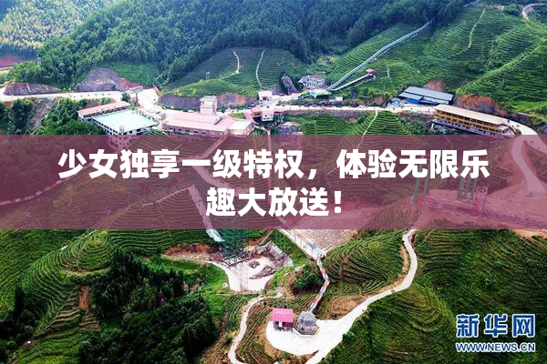 少女独享一级特权，体验无限乐趣大放送！